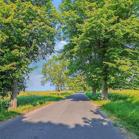 Ferienwohnung Altenkirchen Lejlighed